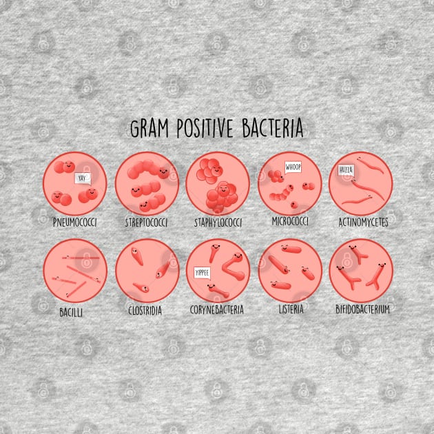 Gram Positive Bacteria by MorvernDesigns